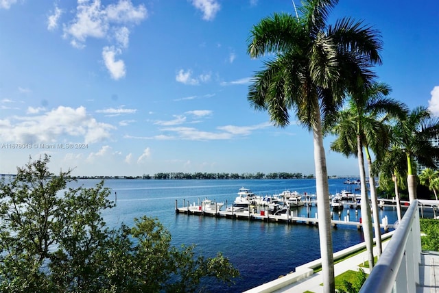 water view featuring a boat dock