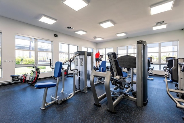 exercise room featuring a wealth of natural light