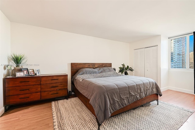 850 N Miami Ave Unit W-906, Miami, FL 33136 - bedroom with light wood finished floors and a closet