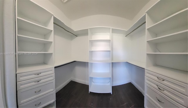 walk in closet with dark hardwood / wood-style floors