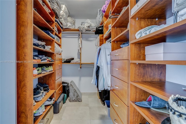 view of walk in closet