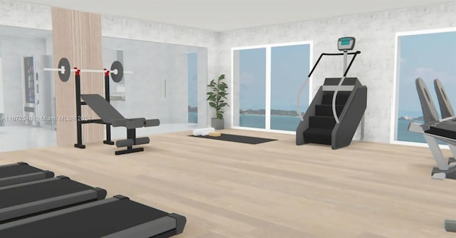 workout room featuring hardwood / wood-style floors