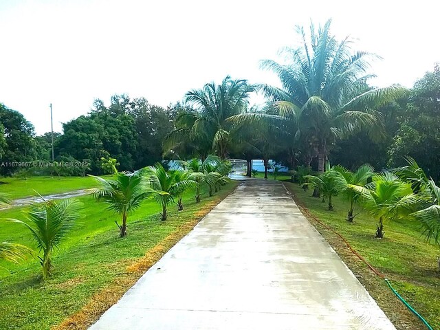 view of home's community with a yard