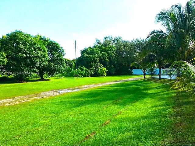 view of property's community featuring a lawn