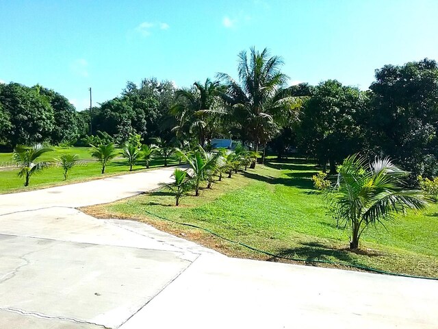 view of community featuring a yard