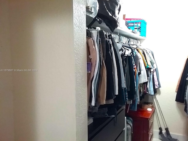 view of walk in closet