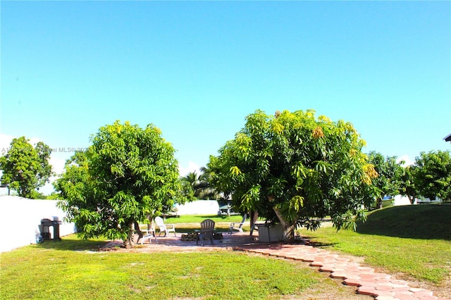 view of yard with a patio area