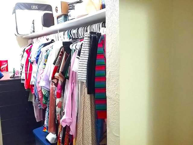 view of closet