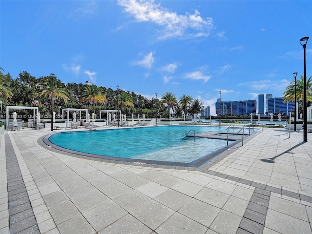 view of pool with a patio