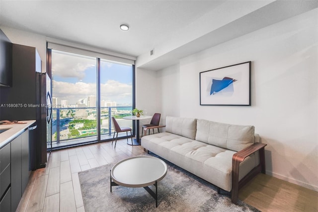 living room featuring hardwood / wood-style flooring and expansive windows