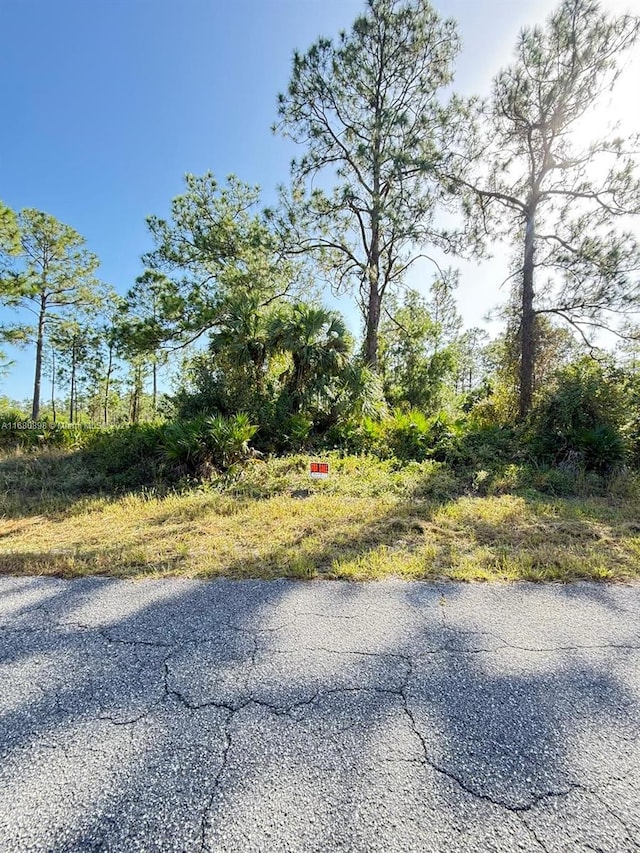 804 Wellington Ave, Lehigh Acres FL, 33972 land for sale