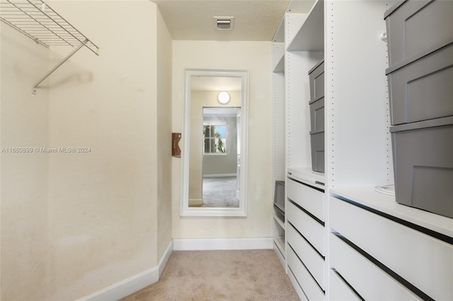 walk in closet featuring light colored carpet