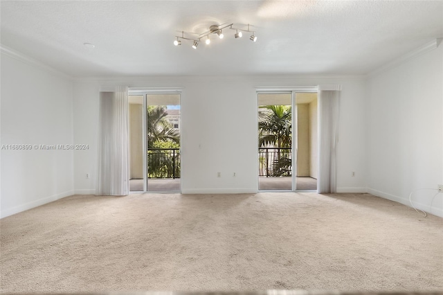 carpeted spare room featuring crown molding