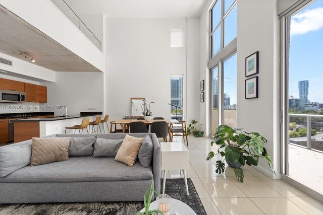 tiled living room with a high ceiling and a healthy amount of sunlight