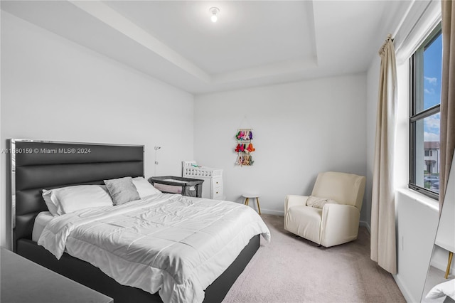 bedroom featuring carpet flooring and a raised ceiling