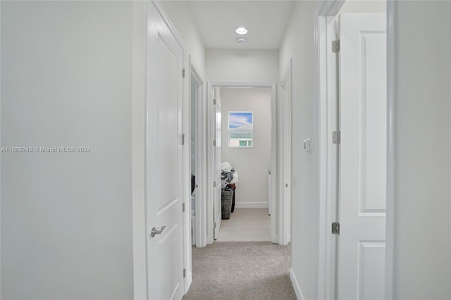 hall featuring light colored carpet