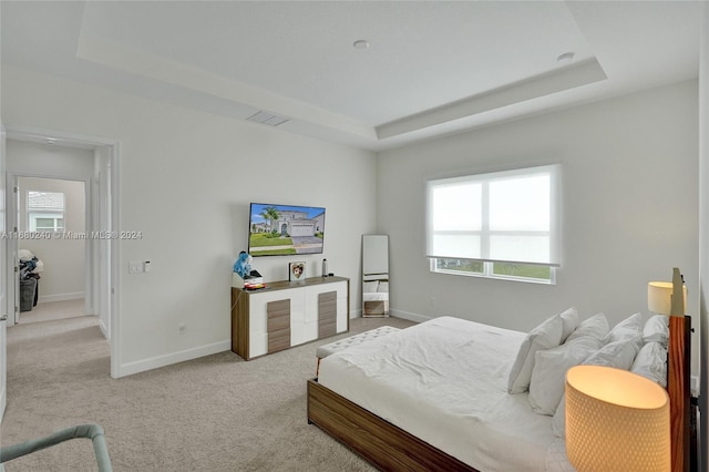 carpeted bedroom featuring a tray ceiling