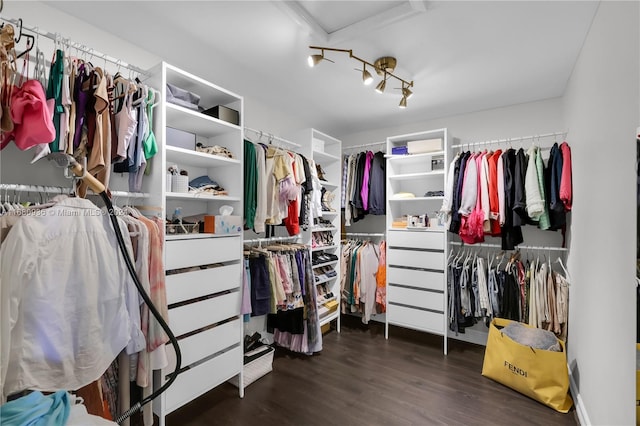 walk in closet featuring dark wood-type flooring