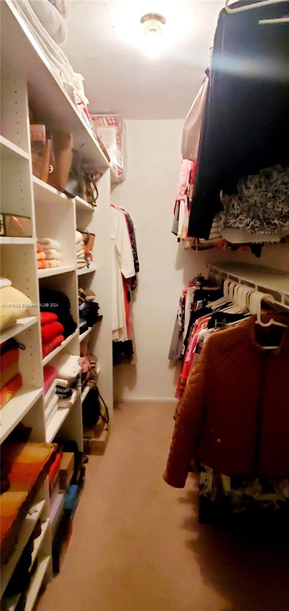 walk in closet with carpet flooring