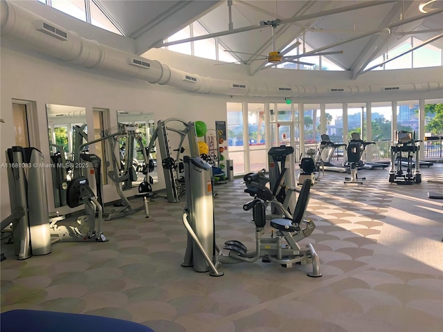 500 Three Islands Blvd Unit 116, Hallandale Beach, FL 33009 - gym with carpet floors, visible vents, and high vaulted ceiling