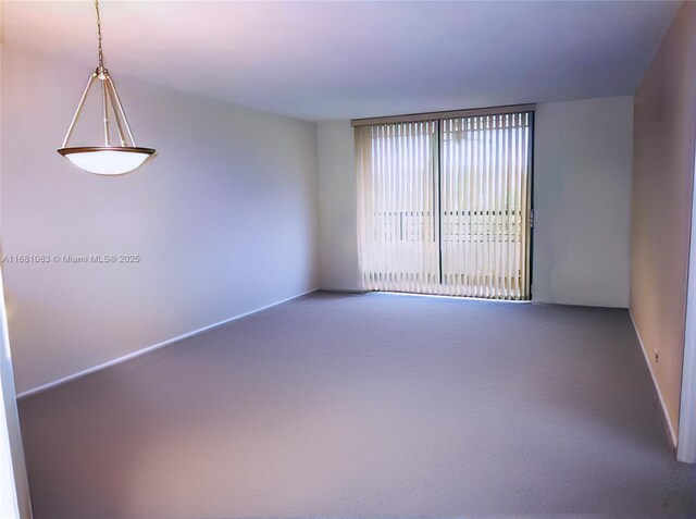 unfurnished room with carpet