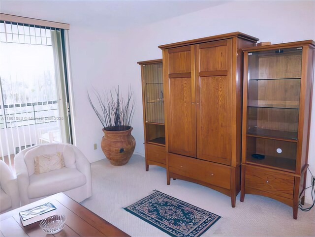 living area with carpet flooring