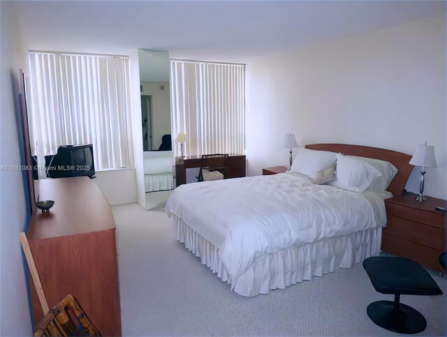 bedroom featuring carpet floors