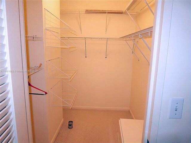 view of walk in closet