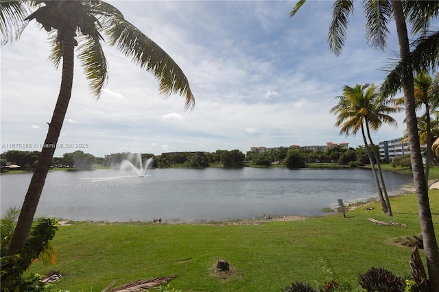 property view of water