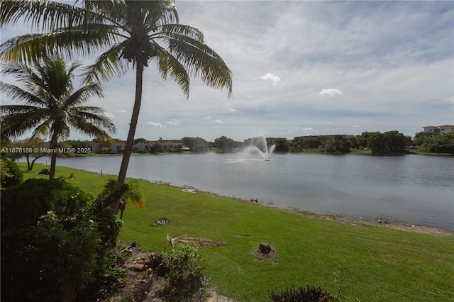 water view