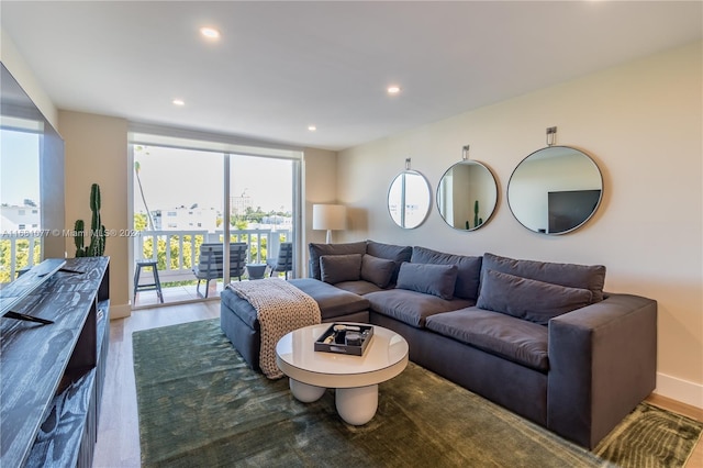 living room featuring hardwood / wood-style floors