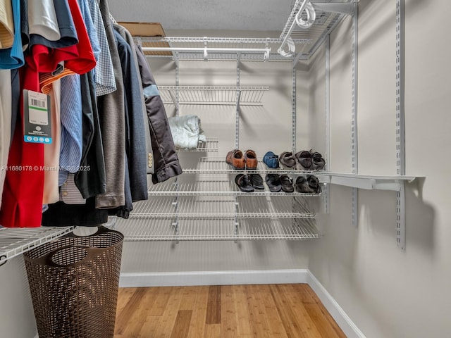 spacious closet with hardwood / wood-style flooring