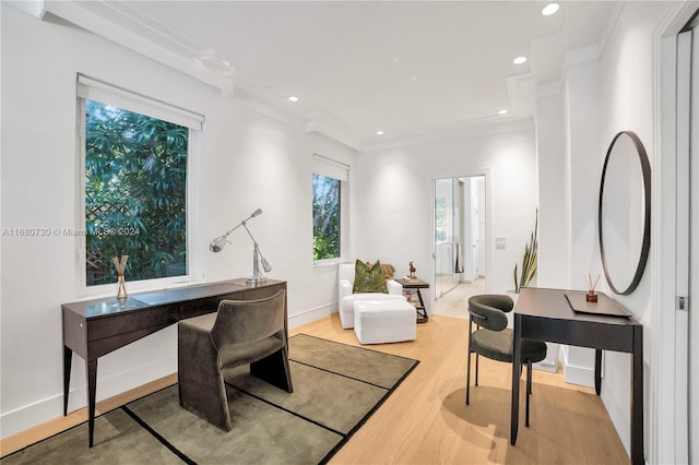 office featuring crown molding and light hardwood / wood-style flooring