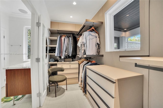 view of walk in closet