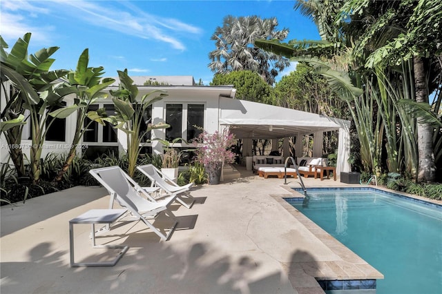 view of swimming pool with a patio