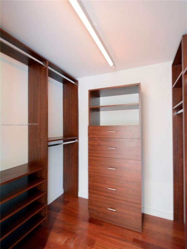 walk in closet featuring dark wood-type flooring