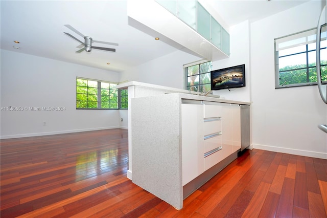 kitchen featuring dark wood-type flooring and ceiling fan