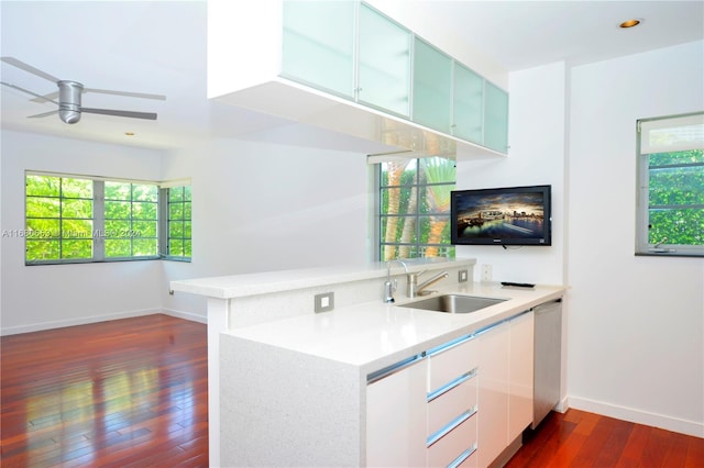 kitchen featuring dishwasher, a wealth of natural light, and dark hardwood / wood-style flooring