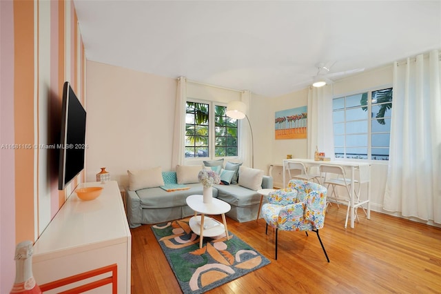 living room with hardwood / wood-style flooring and ceiling fan