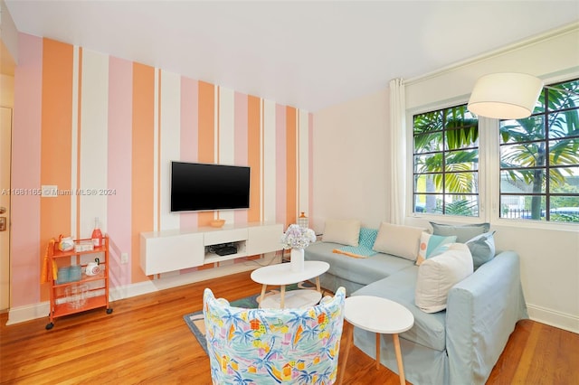 living room with hardwood / wood-style floors