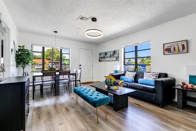 living room with light hardwood / wood-style flooring and a textured ceiling