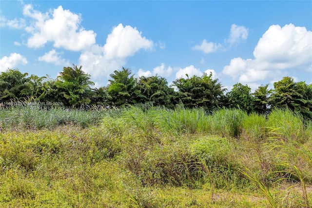 SW 240th St, Homestead, FL 33031