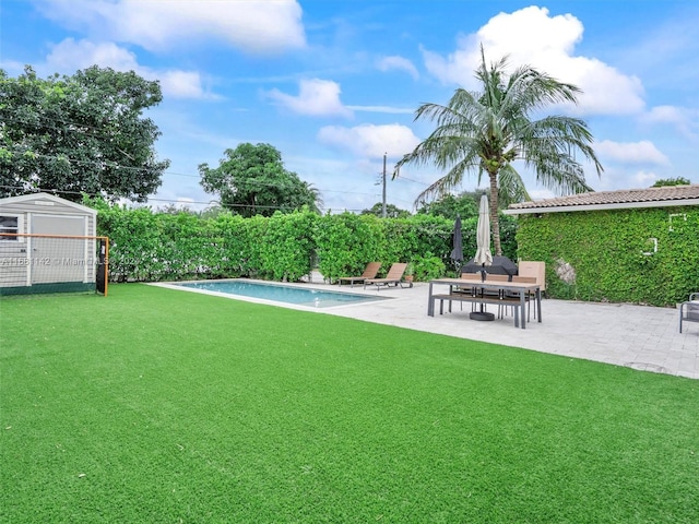 view of yard with a fenced in pool, a patio, and a storage shed