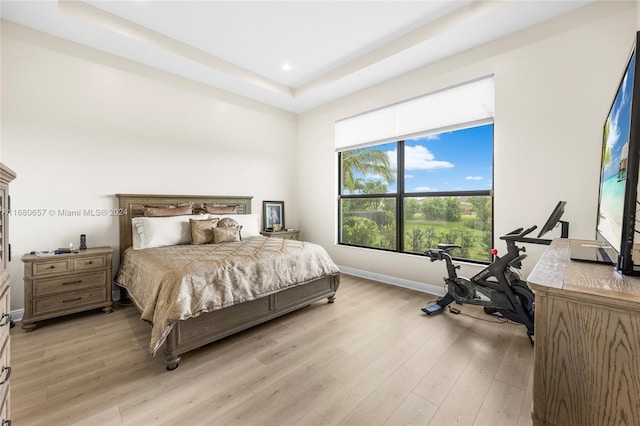 bedroom featuring light wood-type flooring and a raised ceiling