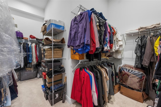 spacious closet with light colored carpet