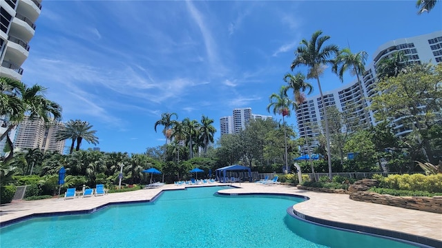 view of swimming pool with a patio area