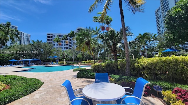 view of pool with a patio