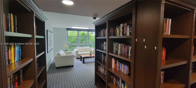 living area with dark carpet