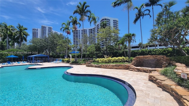 view of pool with a patio