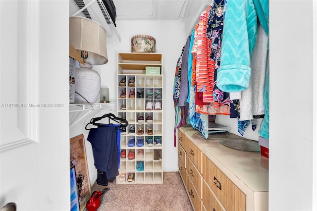 walk in closet with light carpet